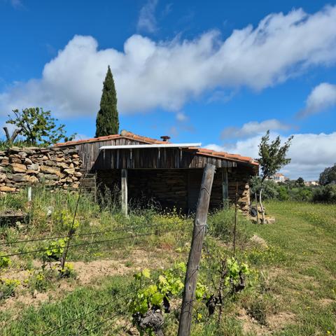 Domaine viticole Perpignan