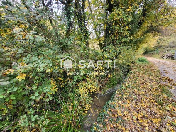 Nature & sérénité (calme et charme rural)