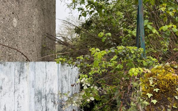 Maison à vendre    3 pièces •  La Celle