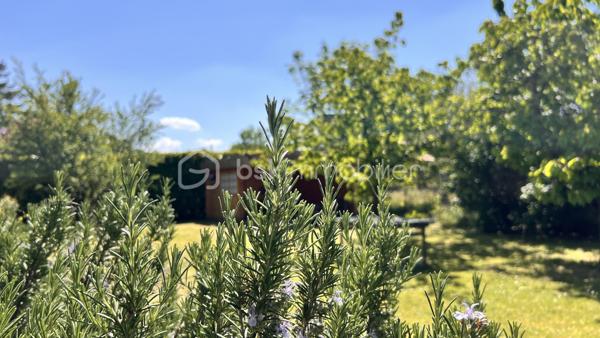 Villa de 228 m²