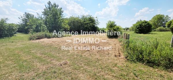 A VENDRE grand Corps de Ferme au Calme Absolu - CORBEILLES EN GATINAIS 45490 Corbeilles (45490)