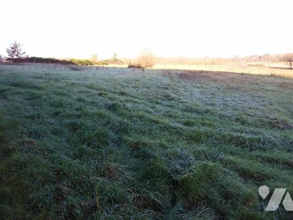 A 5 MNS DE CONTRES, 25 MNS DE BLOIS
TERRAIN DE 15870 M² DONT ENVIRON 3000M² CONSTRUCTIBLE