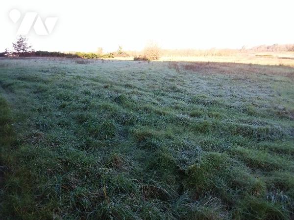 A 5 MNS DE CONTRES, 25 MNS DE BLOIS
TERRAIN DE 15870 M² DONT ENVIRON 3000M² CONSTRUCTIBLE