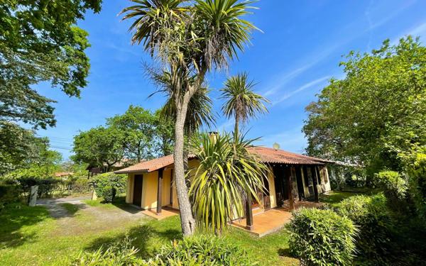 Maison à vendre    4 pièces •  Vieux-Boucau-les-Bains