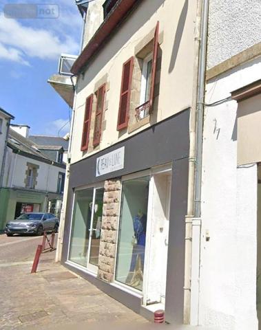 Immeuble à vendre à Locminé dans le Morbihan (56500), ref : 56077-943