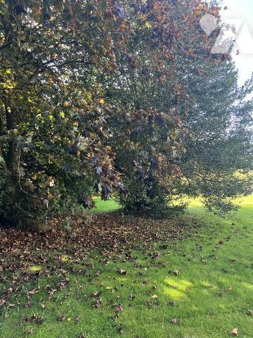 Maison Mur de Bretagne 
