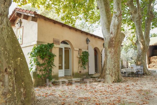 Domaine d’exception à Arles – Mas provençal avec installations équestres