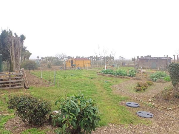 Laure-Minervois (11800) Maison T4/5 TERRAIN 2110 m2