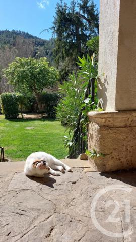 Maison à vendre  12 pièces - 300 m2 ALET LES BAINS - 11