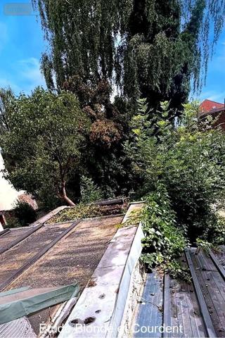 Maison de ville à vendre à Lambersart dans le Nord (59130), ref : 12993/1107   
canon d'or