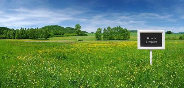 LANGUIDIC - TERRAIN CONSTRUCTIBLE - 1041M2