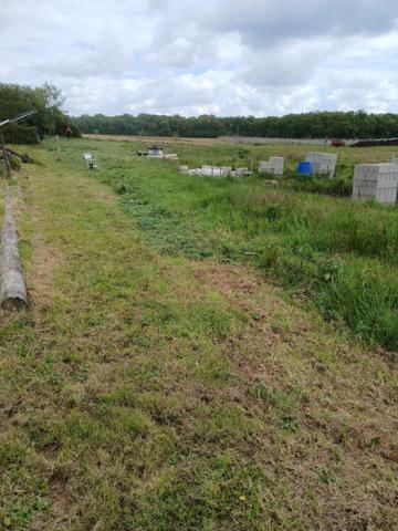 Idéalement situé ce terrain plat borné non viabilisé, saura répondre à vos projets de maison à bâtir