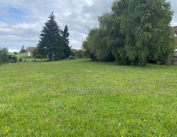 Terrain - 1311 m²