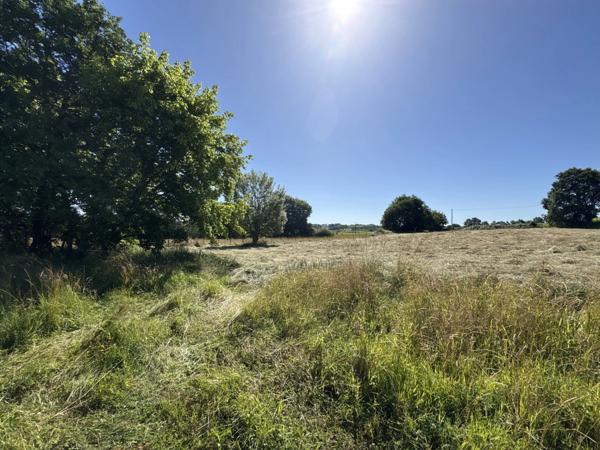 Proche Orthez (64) - Terrain constructible à vendre 1,4ha idéal promoteur ou lotisseur.
