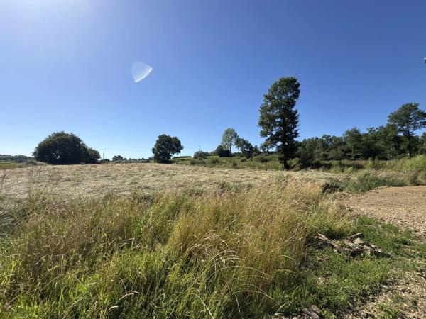 Proche Orthez (64) - Terrain constructible à vendre 1,4ha idéal promoteur ou lotisseur.