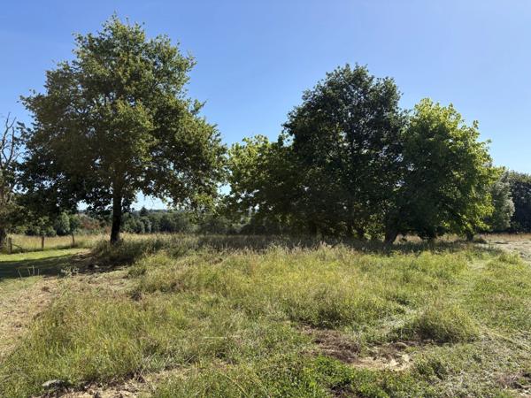 Proche Orthez (64) - Terrain constructible à vendre 1,4ha idéal promoteur ou lotisseur.