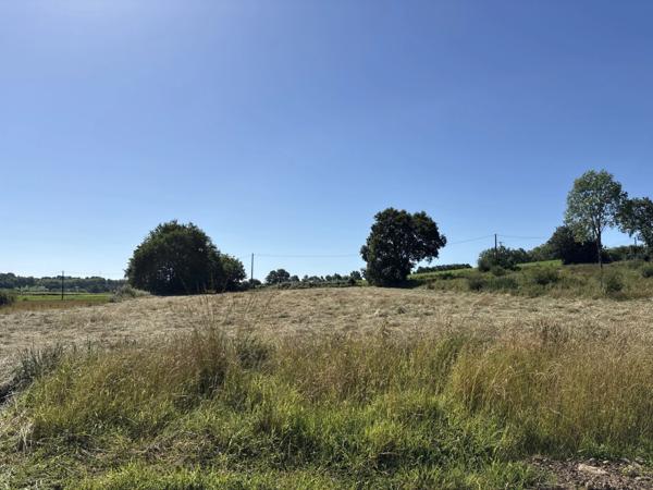 Proche Orthez (64) - Terrain constructible à vendre 1,4ha idéal promoteur ou lotisseur.