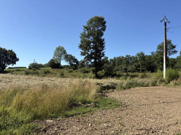 Proche Orthez (64) - Terrain constructible à vendre 1,4ha idéal promoteur ou lotisseur.