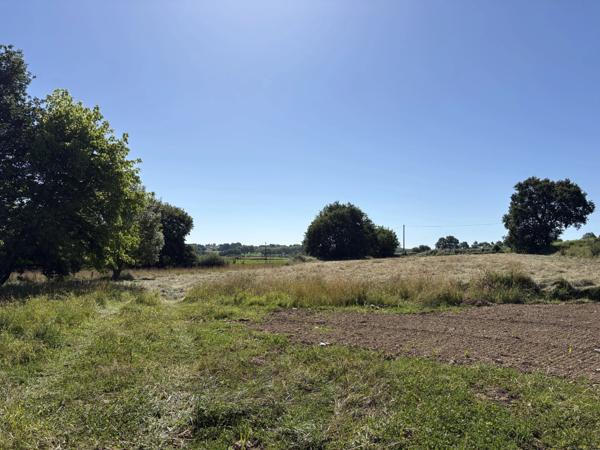 Proche Orthez (64) - Terrain constructible à vendre 1,4ha idéal promoteur ou lotisseur.