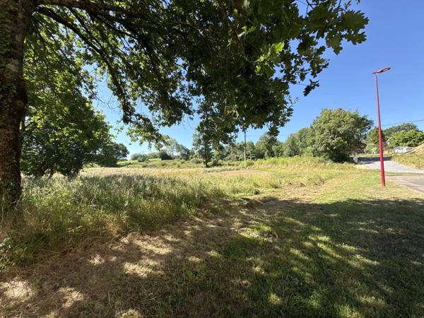 Proche Orthez (64) - Terrain constructible à vendre 1,4ha idéal promoteur ou lotisseur.