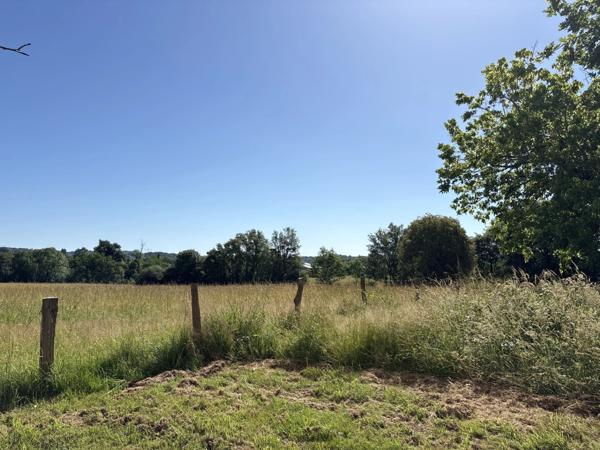 Proche Orthez (64) - Terrain constructible à vendre 1,4ha idéal promoteur ou lotisseur.