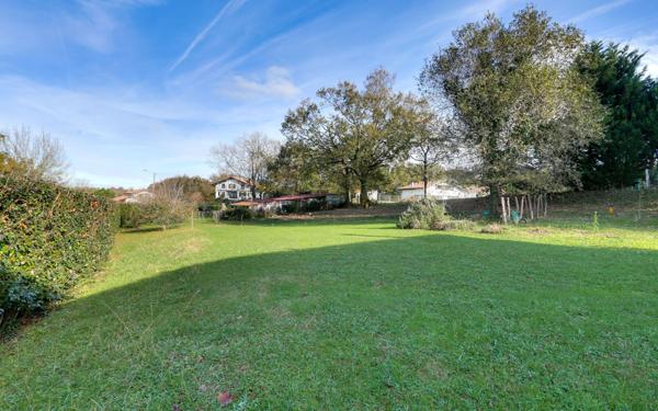 Terrain à vendre    Saint-Pée-sur-Nivelle