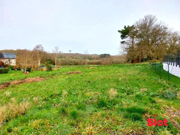 Terrain 563m²