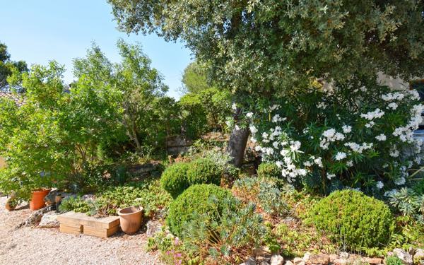 Maison à vendre    3 pièces •  Uzès