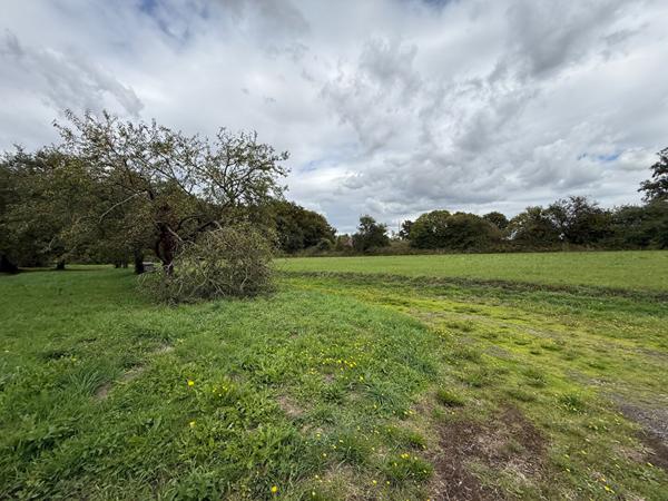 TERRAIN Marigne Peuton 10480 m2 + Bâtiment 480m2