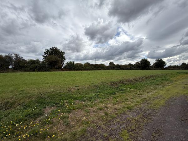 TERRAIN Marigne Peuton 10480 m2 + Bâtiment 480m2