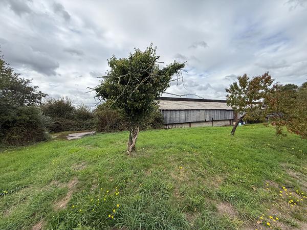 TERRAIN Marigne Peuton 10480 m2 + Bâtiment 480m2