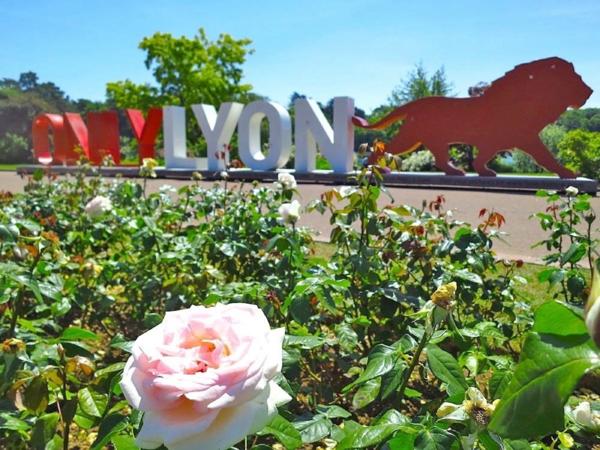 ✨ À vendre Dpt Rhône (69) – Résidence de standing avec piscine : T3 entièrement rénové avec box + parking – env. 62 m²