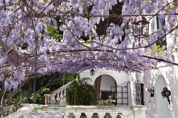 Propriete de Prestige MENTON 06 A vendre NUE PROPRIETE