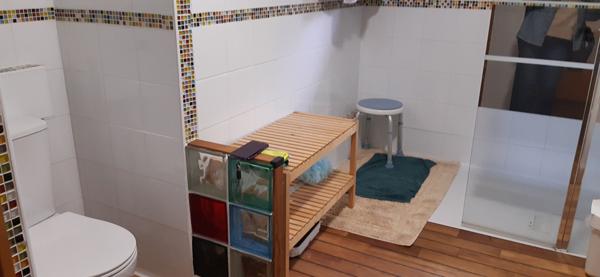 Maison La Chapelle Des Marais 5 pièce(s) 177 m2