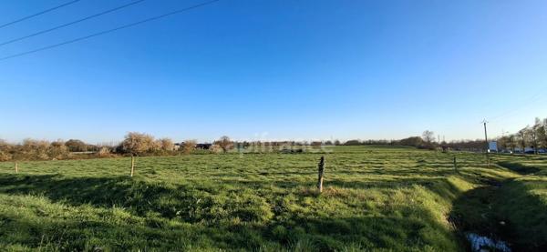 Maison à vendre 6 pièces et grandes dépendances (35)