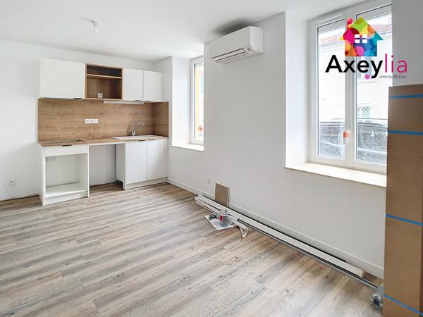 Roanne (42300) A LOUER - ROANNE - APPARTEMENT T2 ENTIÈREMENT RÉNOVÉ