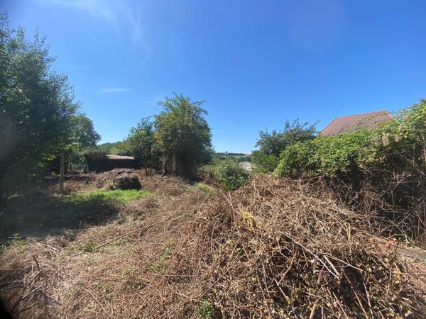 Maison à restaurer- jardin - 20 Min Vendôme