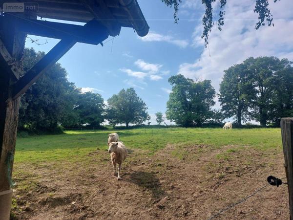 Maison à vendre à Cossé-le-Vivien en Mayenne (53230), ref : 53032-1069