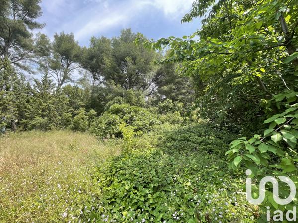 Terrain à vendre 1 000 m² Sanary-sur-Mer
