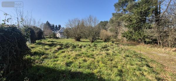 Terrain à Batir à vendre à Questembert dans le Morbihan (56230), ref : 56013-806