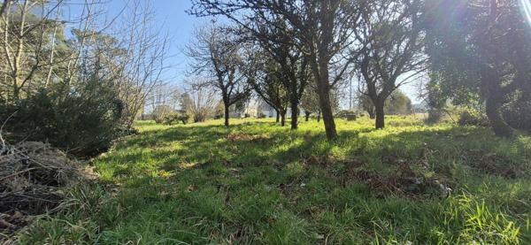 Terrain à Batir à vendre à Questembert dans le Morbihan (56230), ref : 56013-806