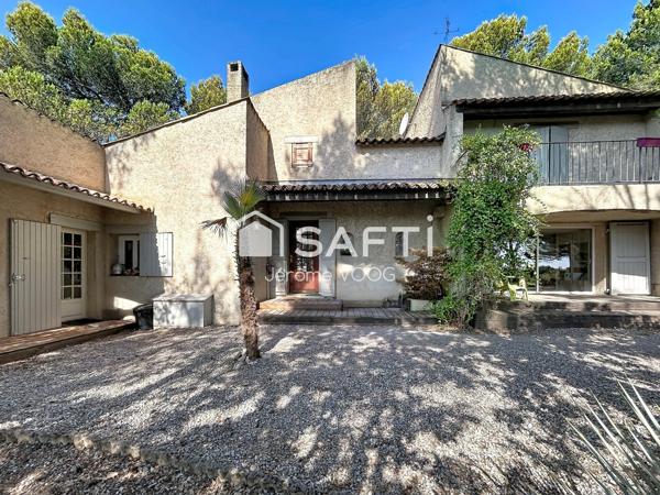 Maison d’architecte avec piscine à débordement au cœur de la pinède à Pierrevert