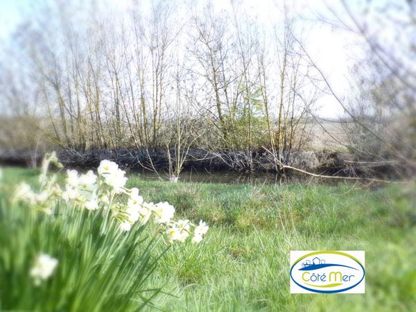 Un petit coin de paradis....