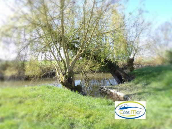 Un petit coin de paradis....