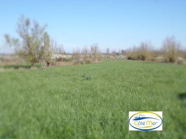 Un petit coin de paradis....