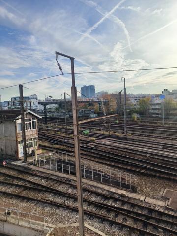 studio special investissement