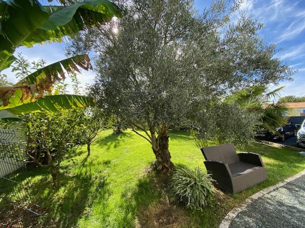 Médis (17600) MEDIS Centre, Maison 172 m² 4 chambres 7pieces