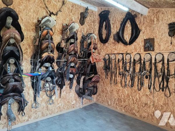 PROPRIETE D'EXCEPTION - ESPRIT RANCH A REIMS