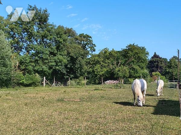 PROPRIETE D'EXCEPTION - ESPRIT RANCH A REIMS