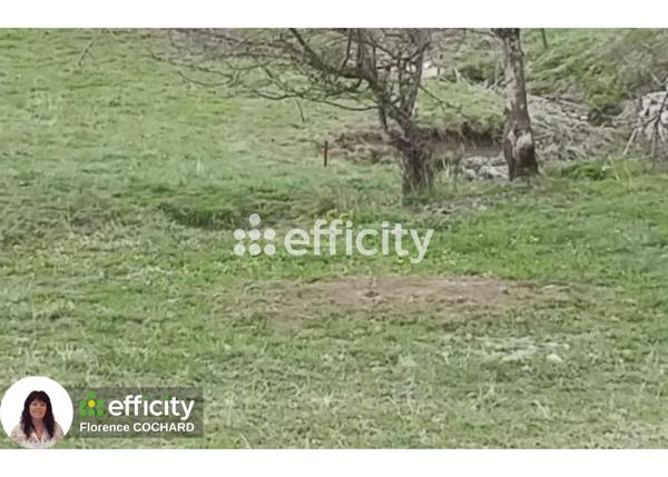 Terrain - 1249 m² Exclusivité efficity